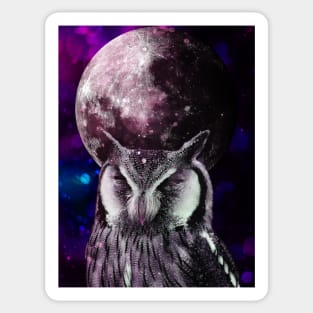 Owl in galaxy with full moon Sticker